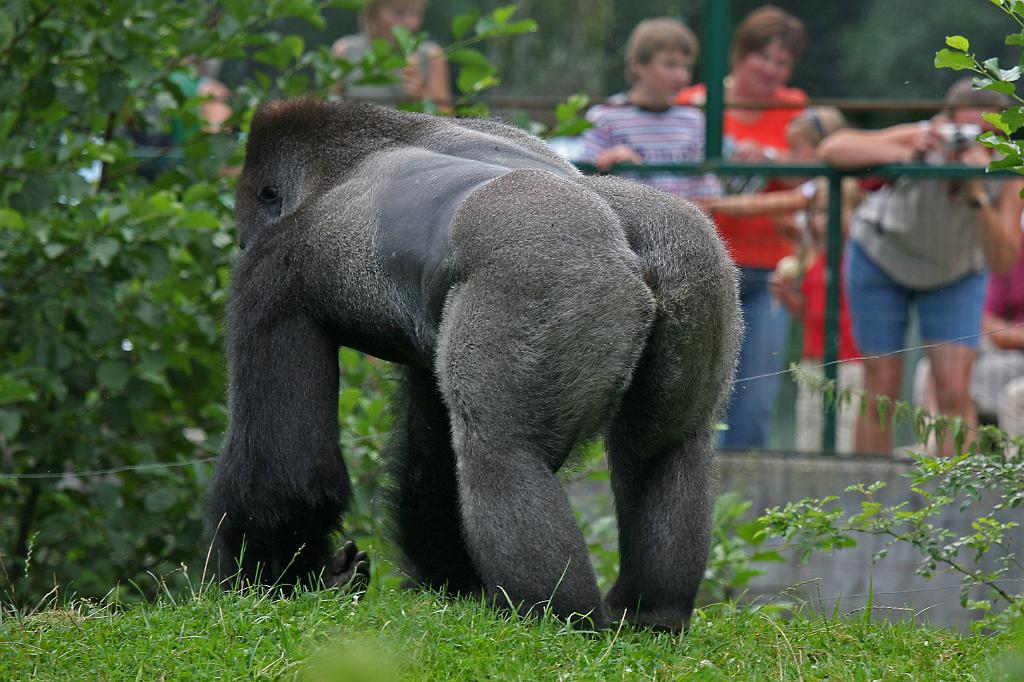 Zoo Schmiding 031.jpg